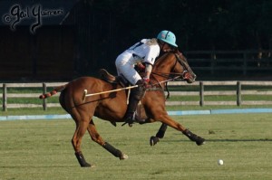 Presidents Cup Polo 2024