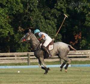 Presidents Cup Polo 2024