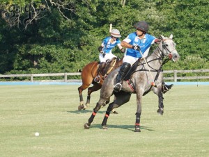 Presidents Cup Polo 2024