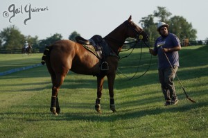 Presidents Cup Polo 2024