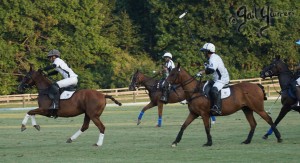 Presidents Cup Polo 2024