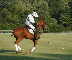 Presidents Cup Polo 2024