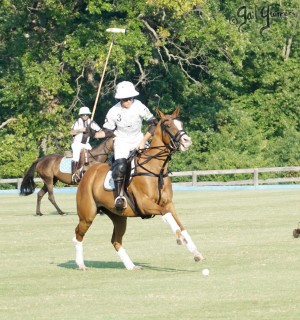 Presidents Cup Polo 2024