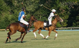 Presidents Cup Polo 2024