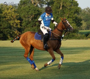 Presidents Cup Polo 2024