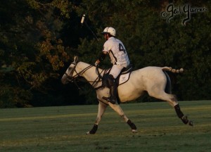 Presidents Cup Polo 2024