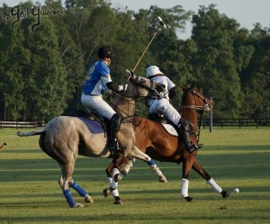 Presidents Cup Polo 2024