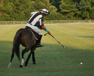 Presidents Cup Polo 2024