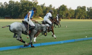 Presidents Cup Polo 2024