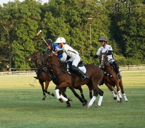 Presidents Cup Polo 2024