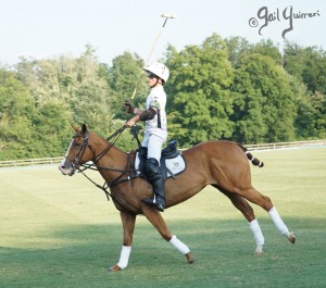 Presidents Cup Polo 2024