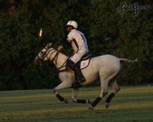 Presidents Cup Polo 2024