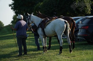 Presidents Cup Polo 2024