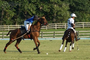 Presidents Cup Polo 2024