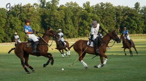 Presidents Cup Polo 2024