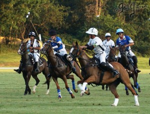 Presidents Cup Polo 2024