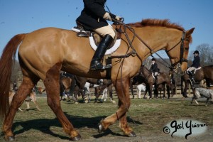 Snickersville Hounds Closing Meet 2021