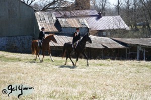 Snickersville Hounds Closing Meet 2021