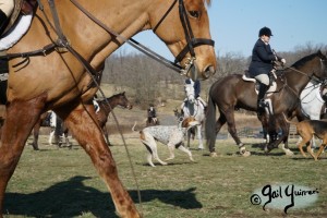 Snickersville Hounds Closing Meet 2021