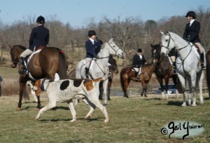 Snickersville Hounds Closing Meet 2021