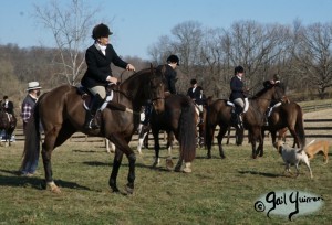 Snickersville Hounds Closing Meet 2021