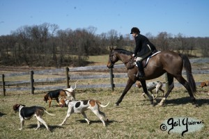 Snickersville Hounds Closing Meet 2021