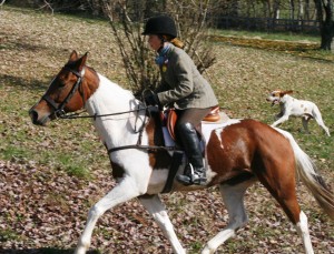 Snickersville Hounds Opening Meet at Creekside November 10, 2019