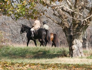 Snickersville Hounds Opening Meet at Creekside November 10, 2019