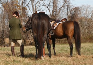 Snickersville Hounds Opening Meet at Creekside November 10, 2019