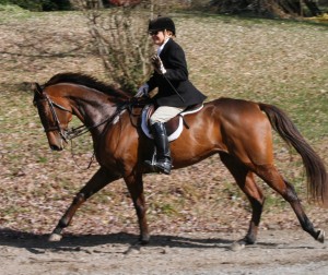 Snickersville Hounds Opening Meet at Creekside November 10, 2019