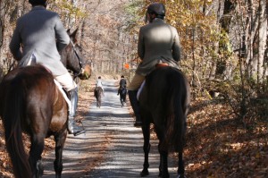 Snickersville Hounds Opening Meet at Creekside November 10, 2019