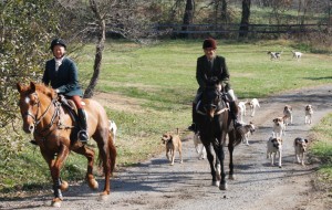 Snickersville Hounds Opening Meet at Creekside November 10, 2019