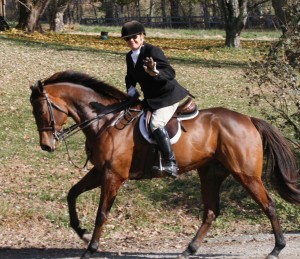 Snickersville Hounds Opening Meet at Creekside November 10, 2019