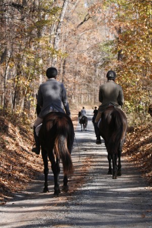 Snickersville Hounds Opening Meet at Creekside November 10, 2019