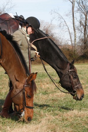 Snickersville Hounds Opening Meet at Creekside November 10, 2019