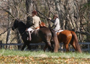 Snickersville Hounds Opening Meet at Creekside November 10, 2019