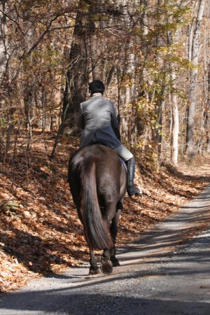 Snickersville Hounds Opening Meet at Creekside November 10, 2019