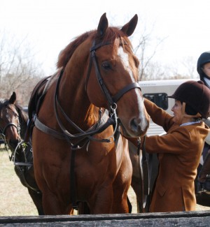 Snickersville Hounds Opening Meet at Creekside November 10, 2019