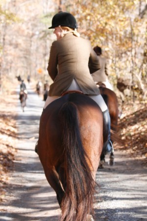 Snickersville Hounds Opening Meet at Creekside November 10, 2019