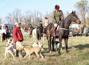 Snickersville Hounds Opening Meet at Creekside November 10, 2019