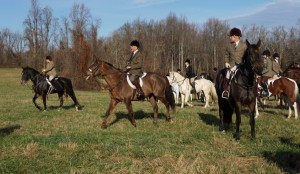 Snickersville Hounds Opening Meet at Creekside November 10, 2019