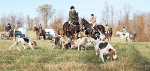 Snickersville Hounds Opening Meet at Creekside November 10, 2019