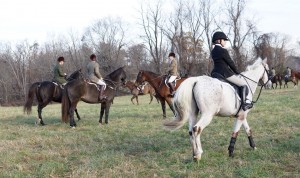 Snickersville Hounds Opening Meet at Creekside November 10, 2019