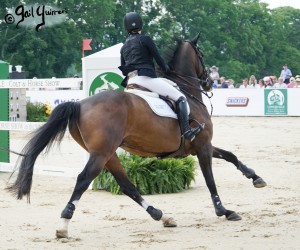 Upperville Jumper Classic BREGO ridden by Katherine Dinan