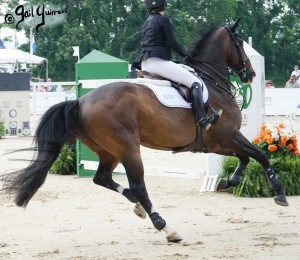 Upperville Jumper Classic BREGO ridden by Katherine Dinan