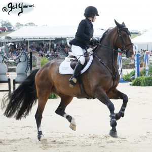 Upperville Jumper Classic BREGO ridden by Katherine Dinan