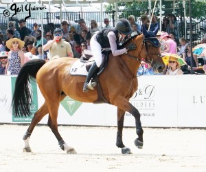 Upperville Jumper Classic EXQUISE DU PACHIS ridden by Zayna Rizvi