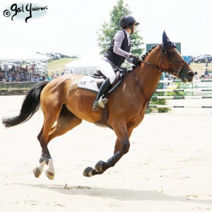 Upperville Jumper Classic EXQUISE DU PACHIS ridden by Zayna Rizvi