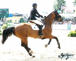 Upperville Jumper Classic FIGOR ridden by Tiffany Foster