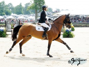 Upperville Jumper Classic FIGOR ridden by Tiffany Foster